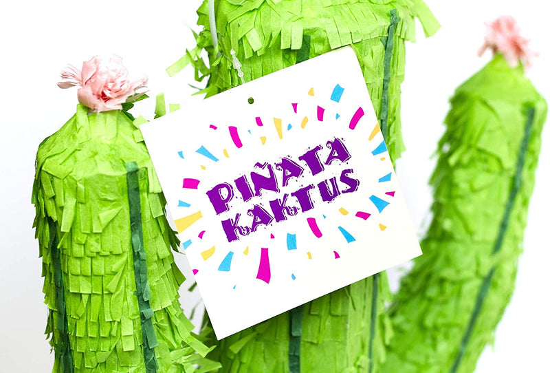 Pinata Kaktus